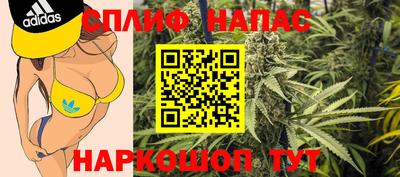 индика Апшеронск