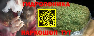 индика Апшеронск