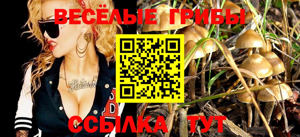 что такое наркотик  Вход с VPN  Братск  Псилоцибиновые грибы мицелий 